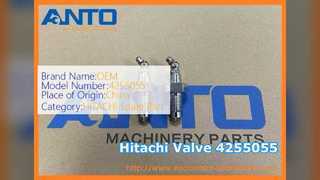 Katup Gemuk Penyetel Ekskavator Hitachi 4255055
